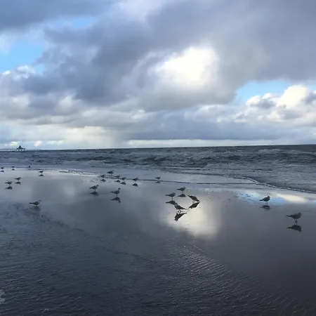 Lägenhet Medici 2 Zi Ruhig Sonnig Strandnah